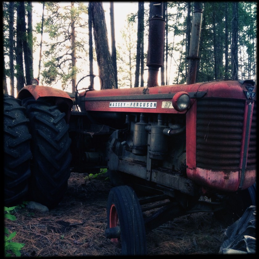 rotting away in obscurity. 